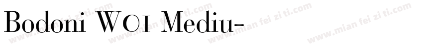 Bodoni W01 Mediu字体转换